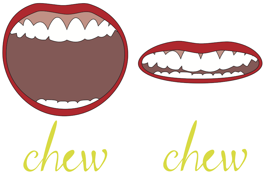 chew chew food review