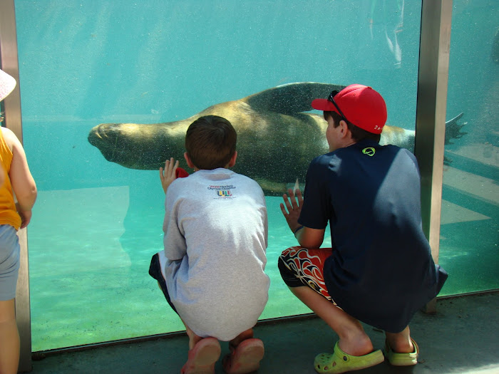 Seal