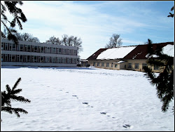 Střední škola Dobruška