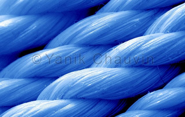 Photography Of Rhythm