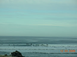 The Cove with Lots of Surfers