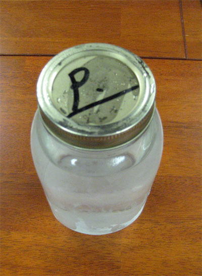 peach moonshine
