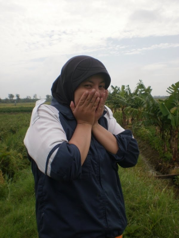 [P1270147.JPG]