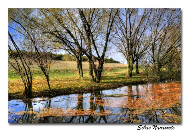 Arroyo de la Recomba