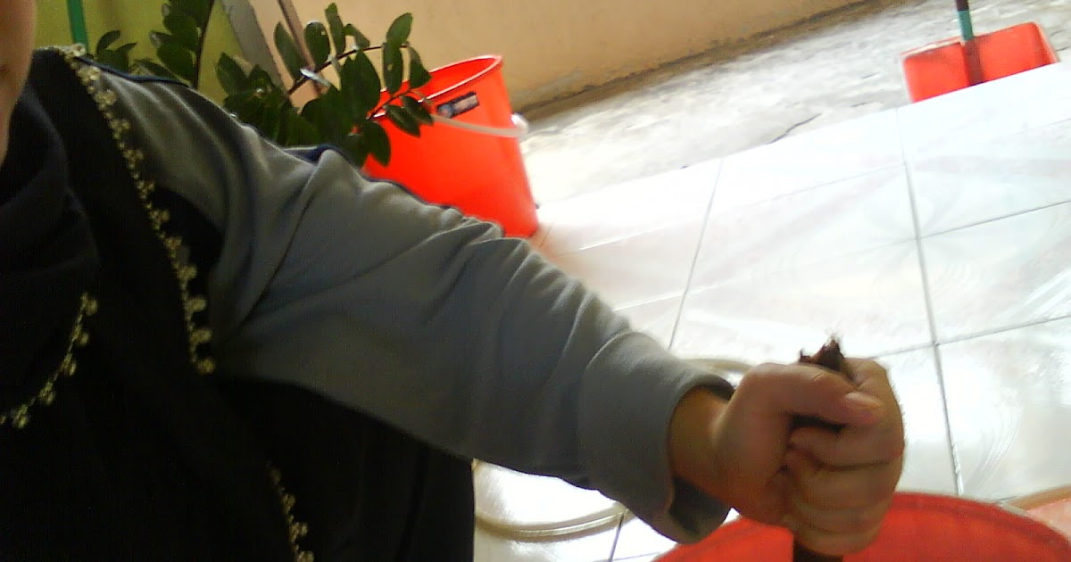 BAHASA JIWA BANGSA: Langkah Mewujudkan Suasana Kondusif