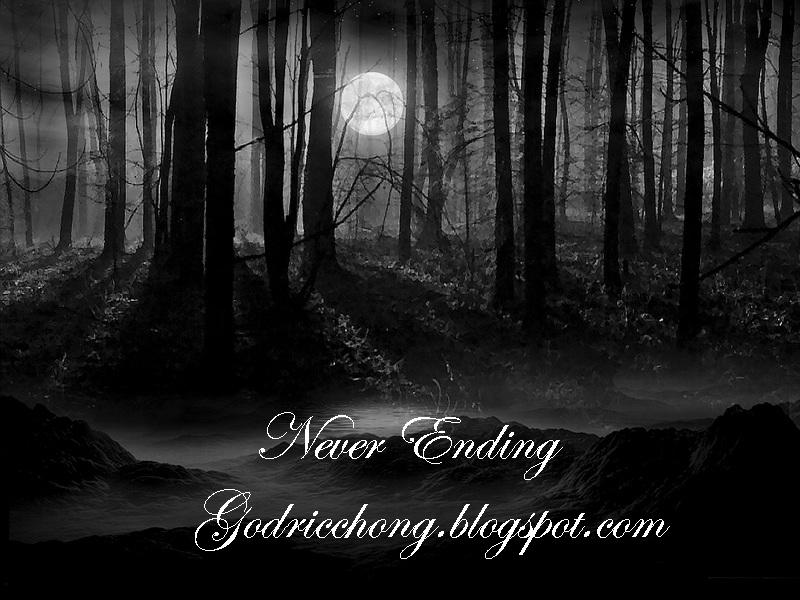 ~*Never Ending*~
