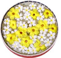 Luscious Bath Bombs