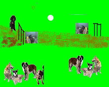 our ceebros garden: Dinosaur train Alphabets from A to Z...