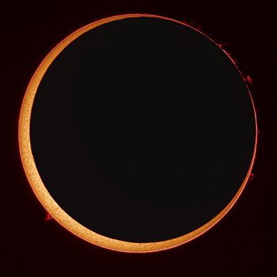 [eclipse_anular_seip[1].jpg]