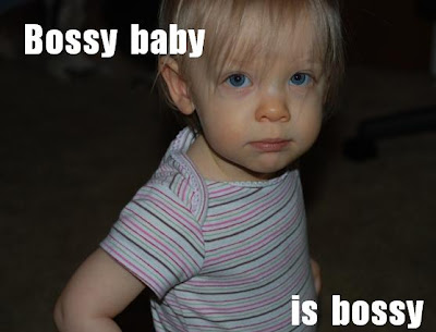 bossy baby