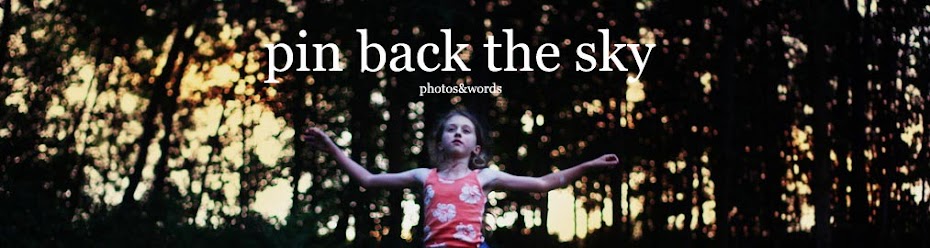 PIN BACK THE SKY