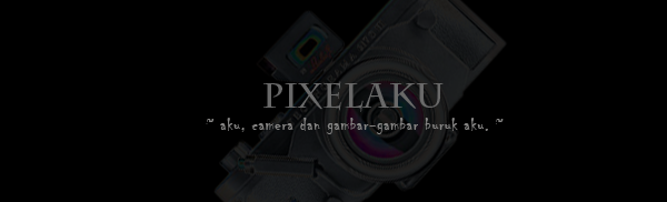 PiXeLaKu.