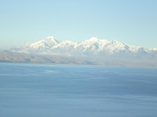 La Cordillera de los Andes...