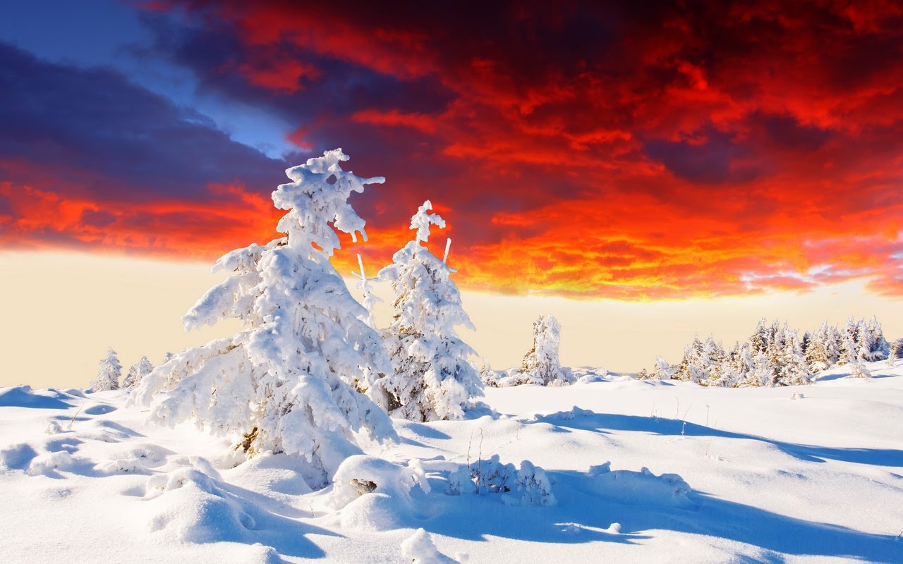 amazing winter