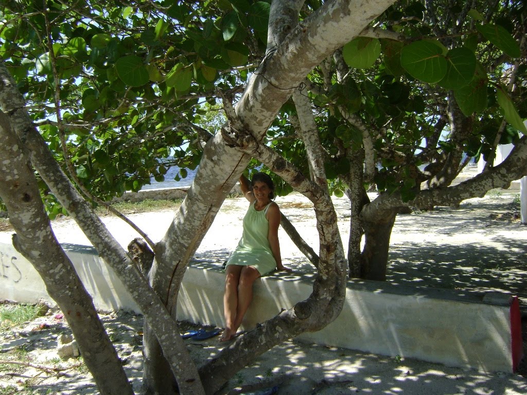 [DSC03360.JPG]