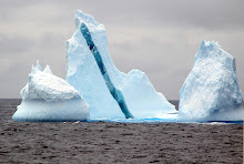 A MARAVILHA DOS ICEBERGS (2)