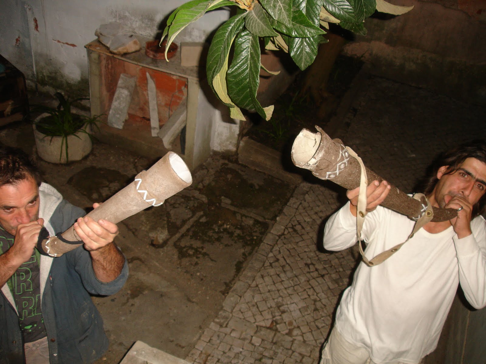 [DSC06752.JPG]