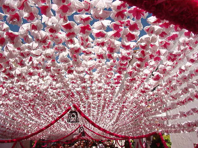[ACampMaior+IM002369.JPG]