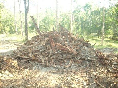 [logging+bark.jpg]