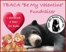Free the Bears Fund Inc.