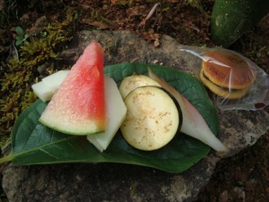 [20090807+005.01.jpg]