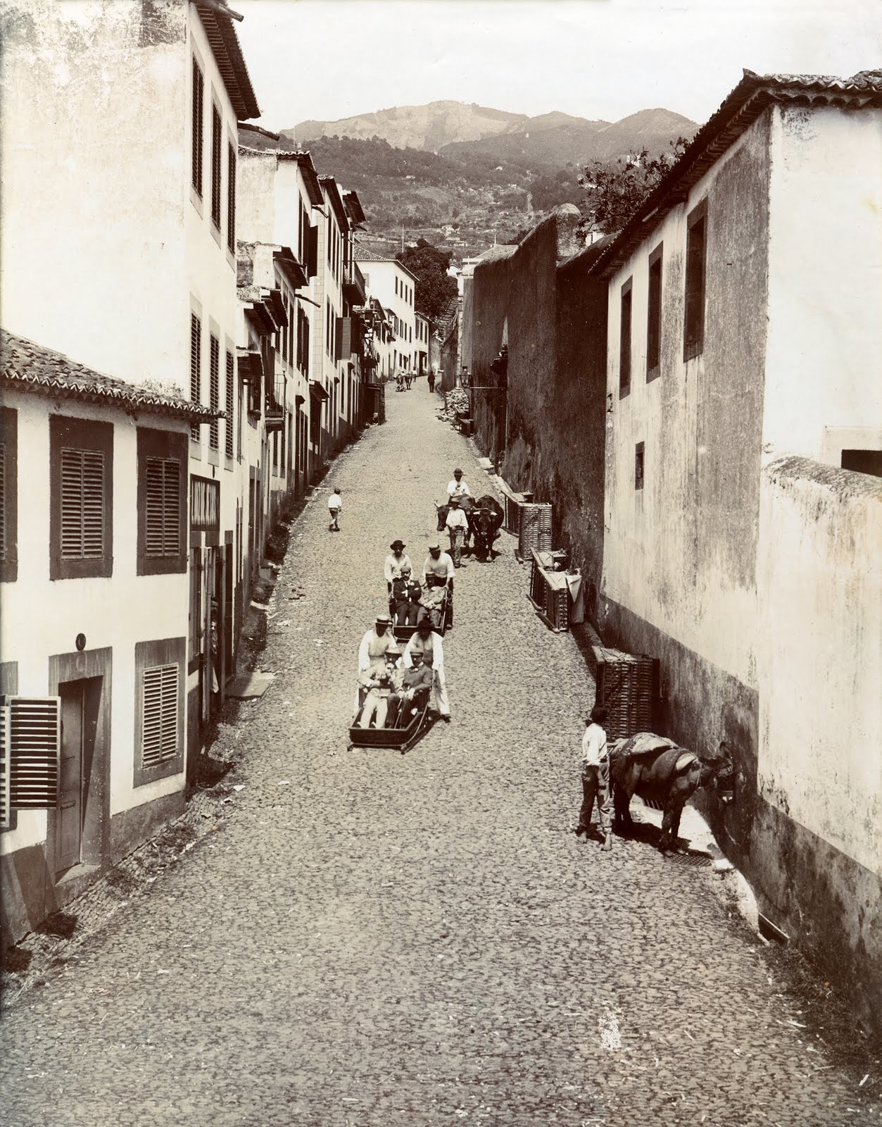 [Transporte_tipico_d_monte_1890.jpg]