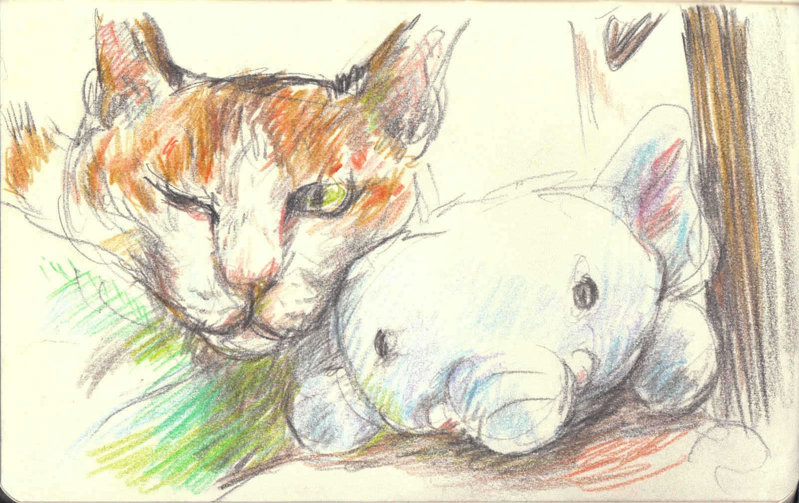 Cat And Elephant