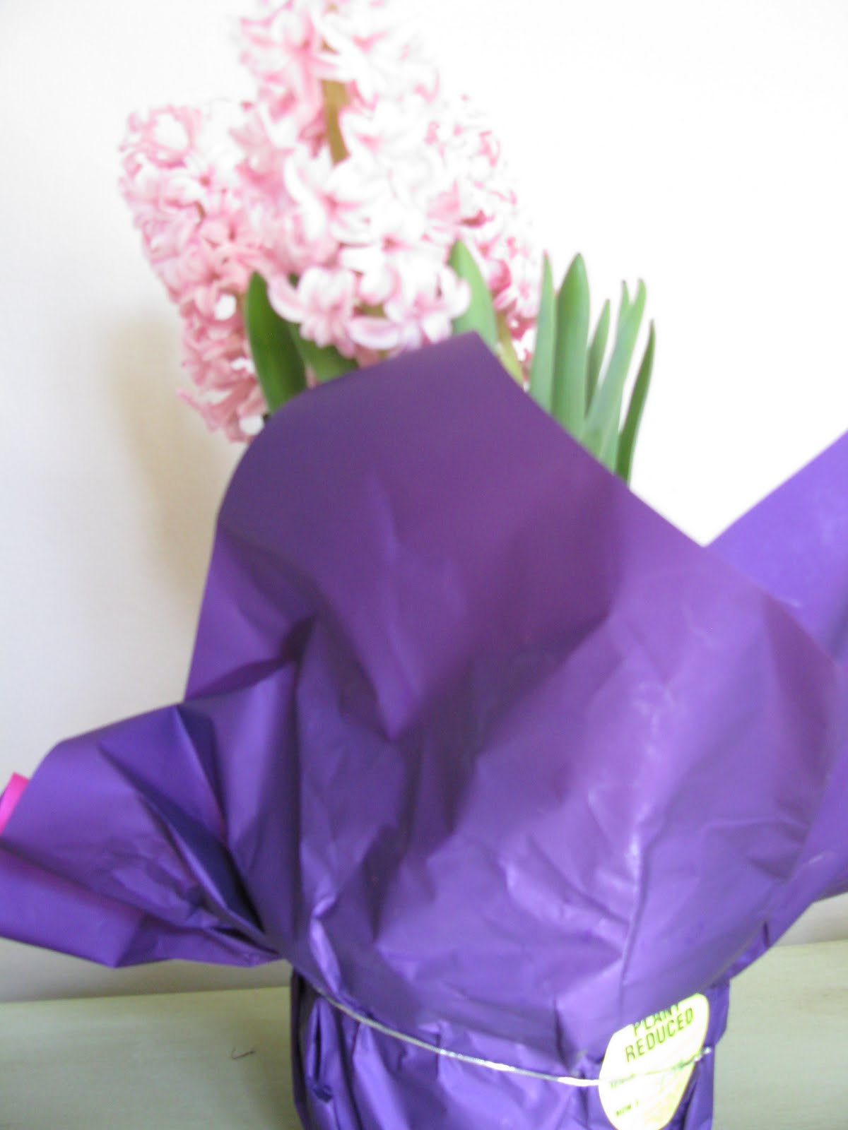 JOYS OF HOME Blooming Bargains