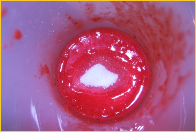 [Champagne+de+fresas+003+[640x480].jpg]