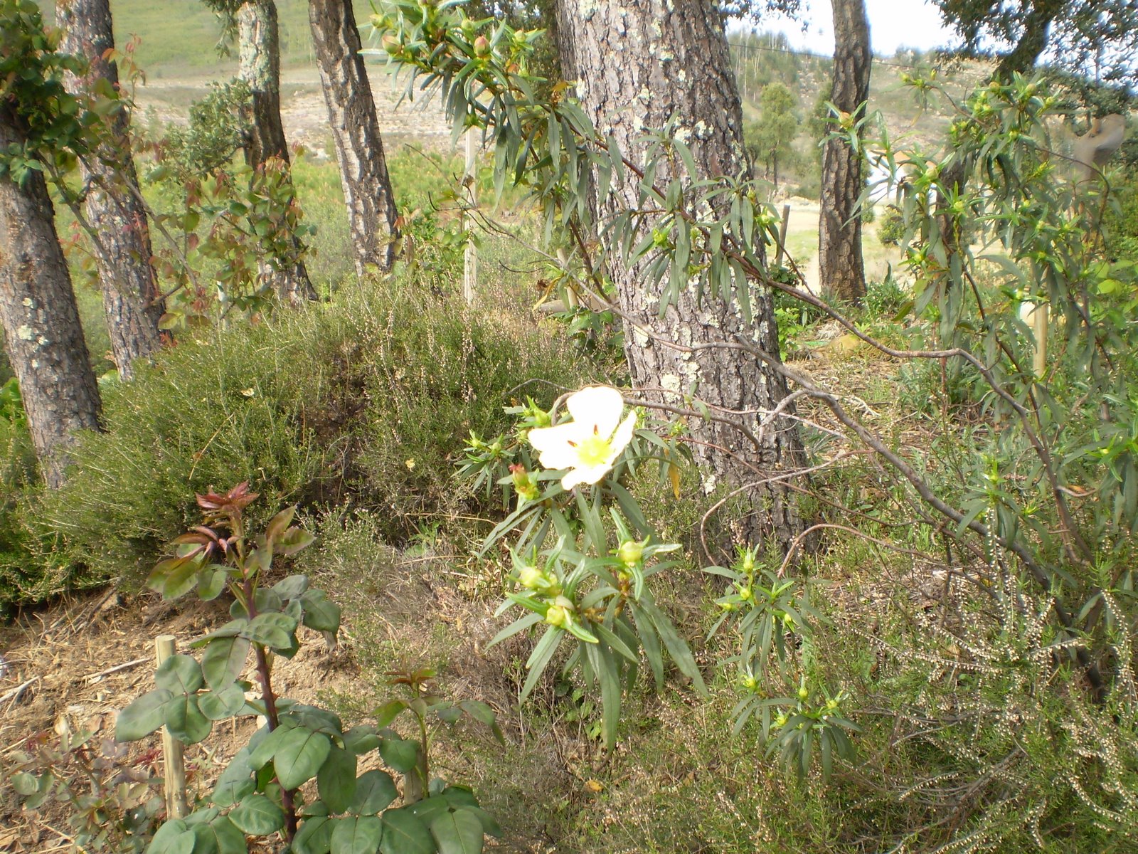 [P3230017.JPG]