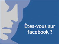 facebook empreinte carbone energetique