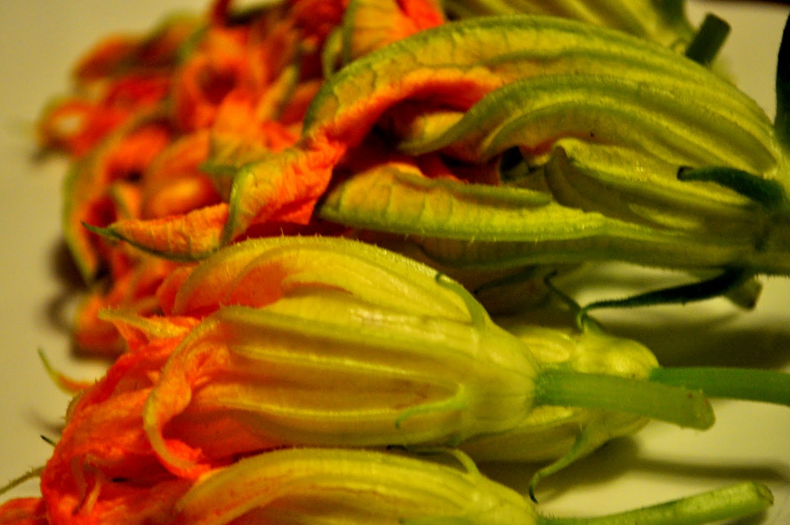 Our Italian Kitchen Fried Zucchini Blossoms
