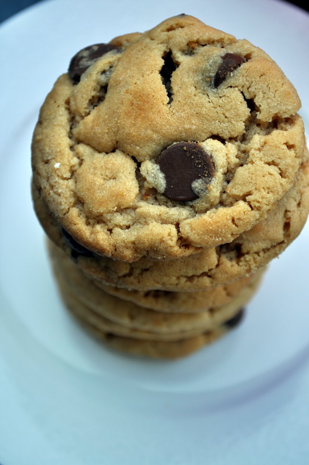 Our Italian Kitchen Peanut Butter Chocolate Chip Cookies
