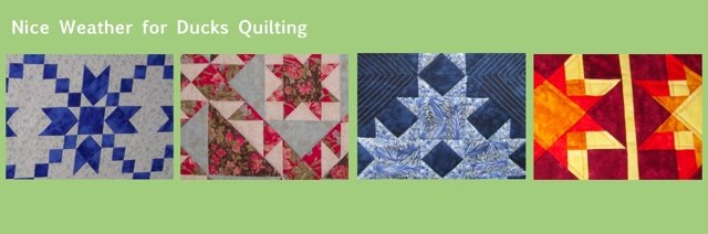 Nice Weather for Ducks Quilting