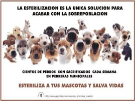 LA ESTERILIZACION PARA ACABAR CON LA SOBREPOBLACION