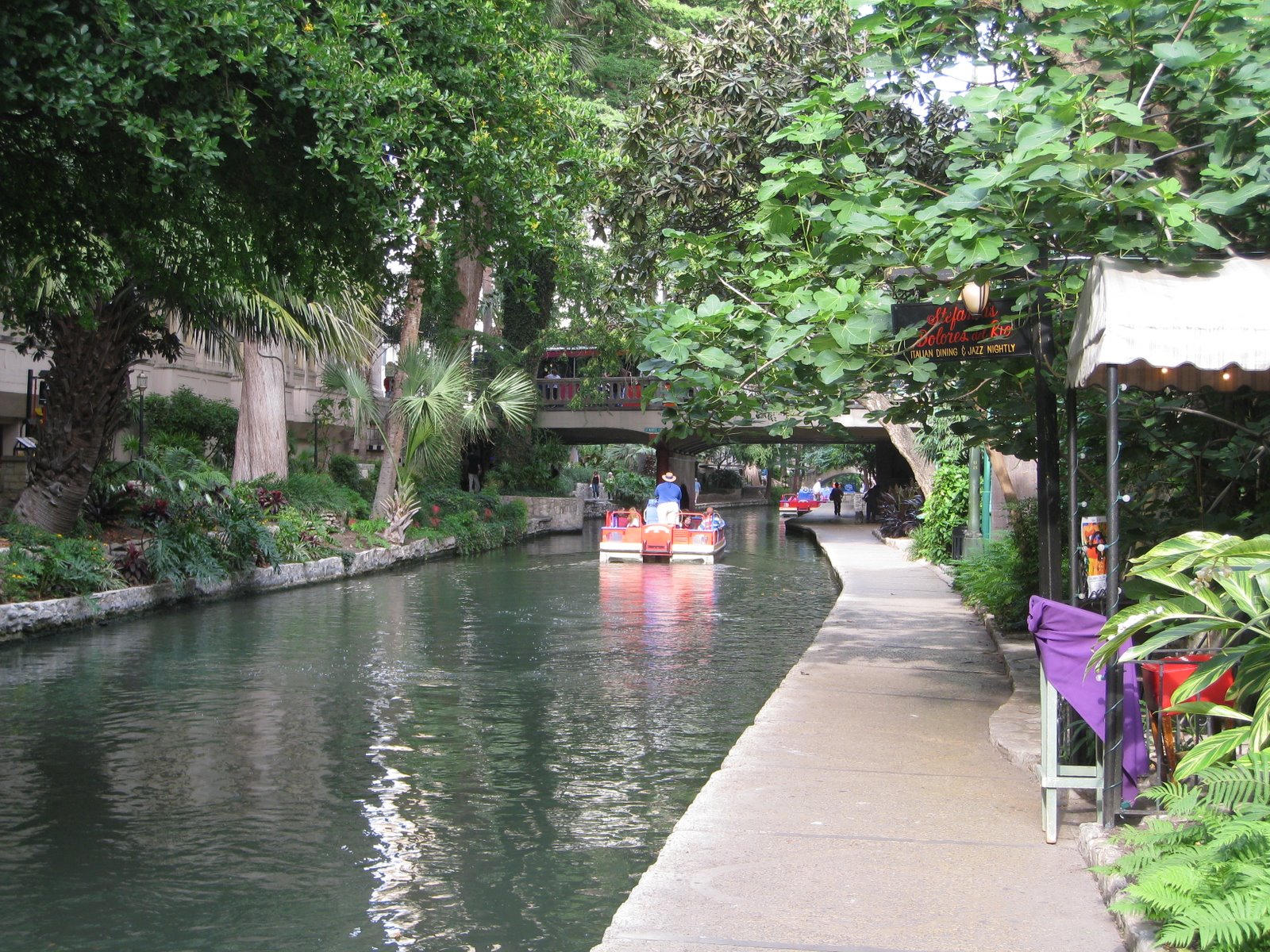 [IMG_1002.JPG]