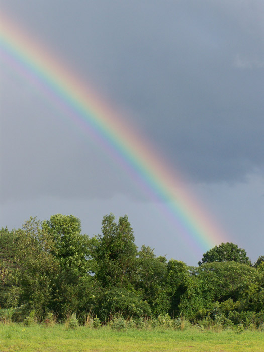 [rainbow3.jpg]