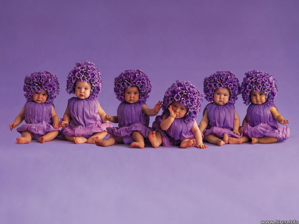 purple babies