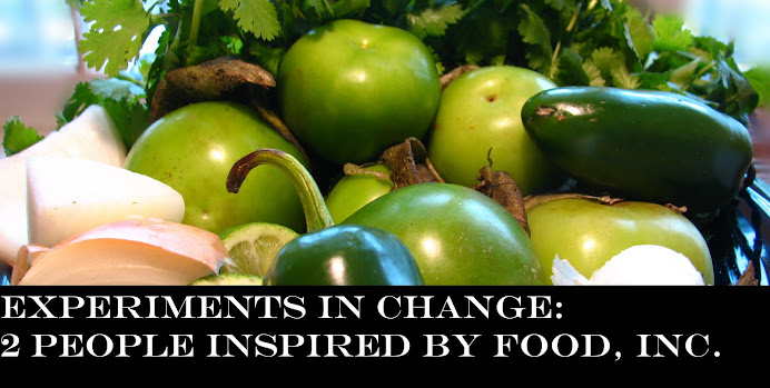 Experiments in Change; Inspired by Food Inc.