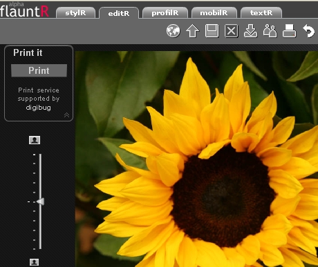 [fluntR_online_photo_editing_service.jpg]