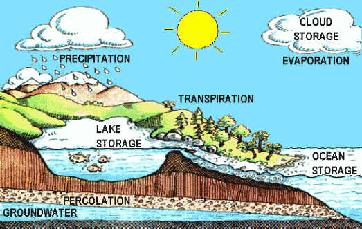 water cycle diagram with labels. THE HYDROLOGIC CYCLE as shown