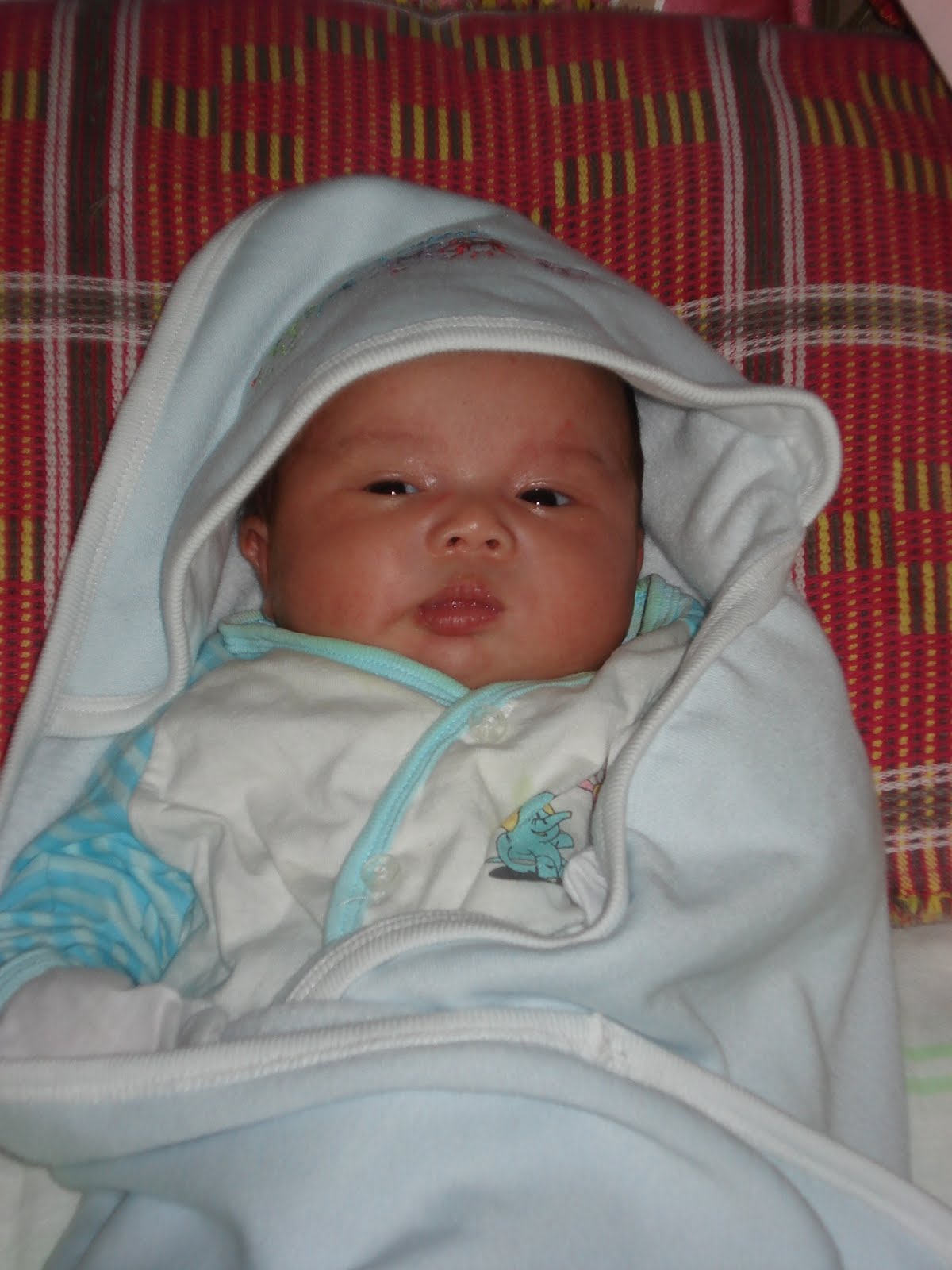 [DSC02574.JPG]