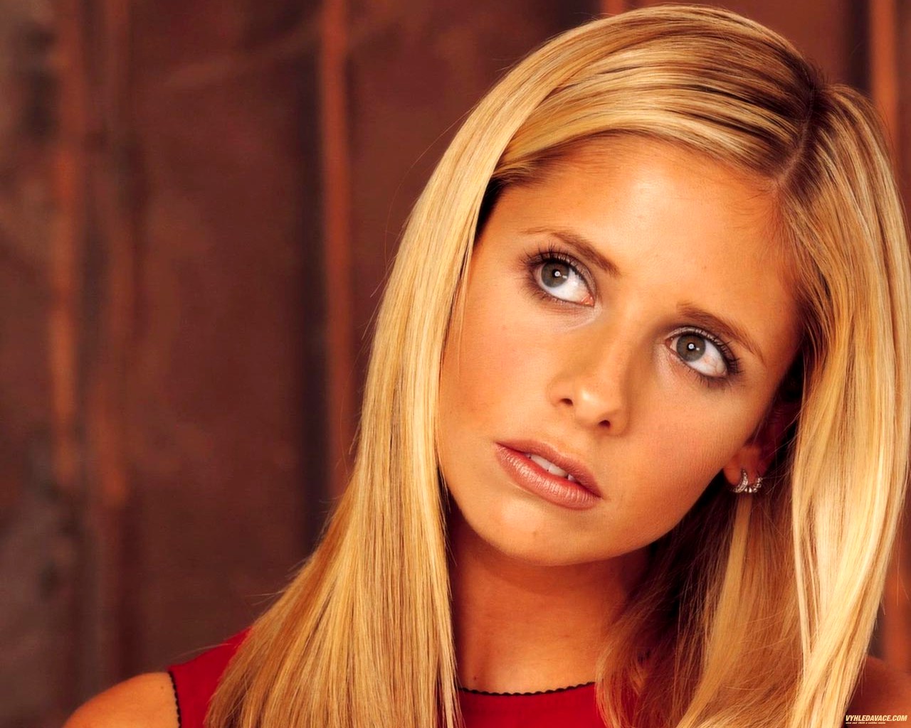 http://1.bp.blogspot.com/_2TJIcMzUNUE/TUPdN5XofuI/AAAAAAAAEfw/Yj9QfEy5f24/s1600/sarah-michelle-gellar-red.jpg