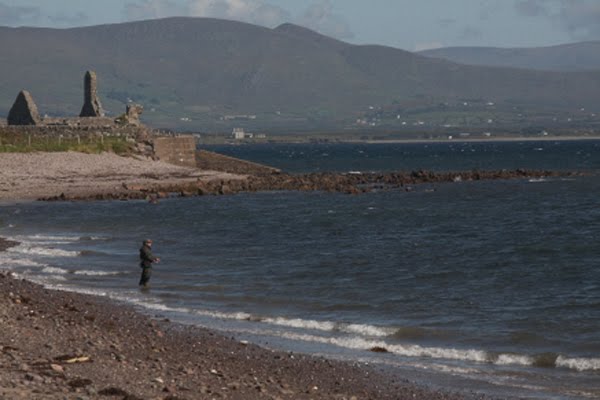 Fantastisches Wolfsbarschangeln in dieser Gegend rund um Ballinskelligs