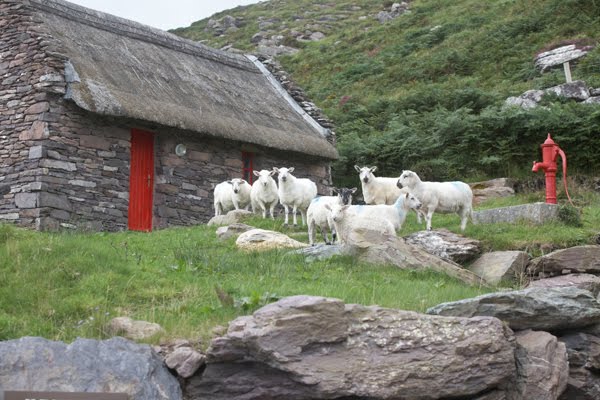 Wurden diese Cottages in Originalfassung nachgebaut.