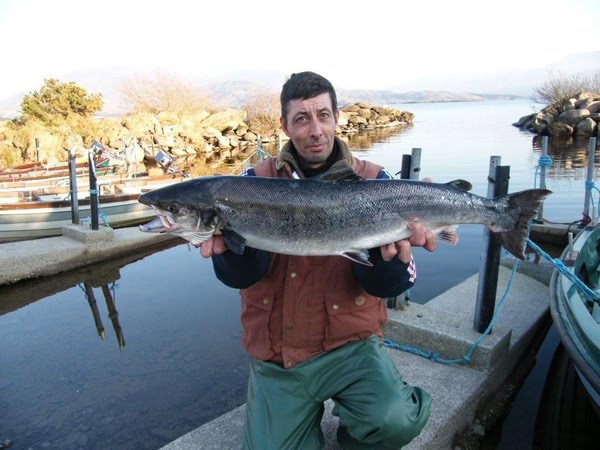 14 fevrier: Eric Jouen prend le 3 saumon de la saison au Currane, 12lbs