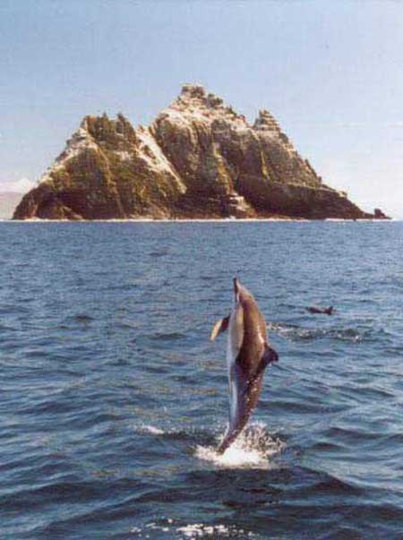 Die Skellig Sea, ein Dorado fur die Delphine