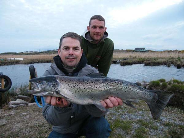 Peut-etre pas specimen, mais avec 51/2lbs une bien belle truite de mer quand meme