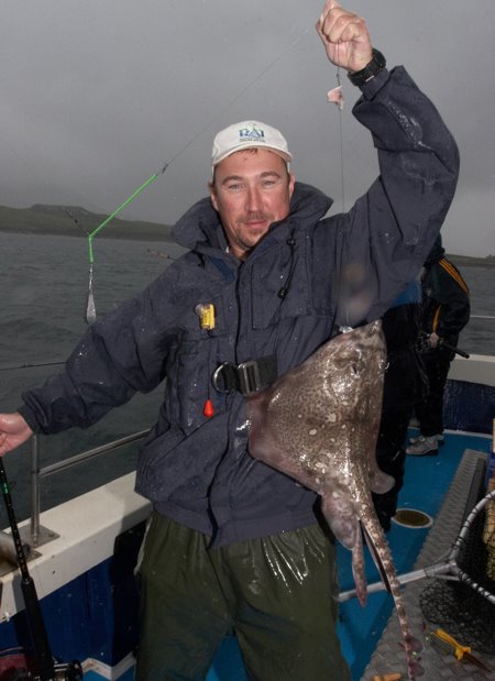 A thornback ray comes on board