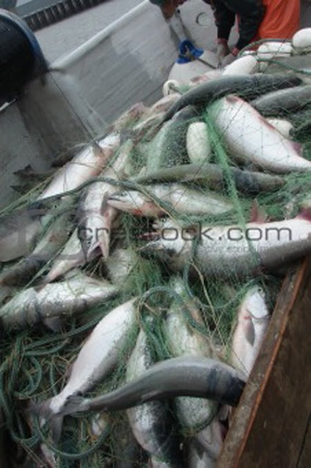 Fallait-il vraiment en arriver la???